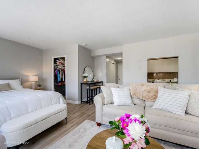 1150 N Lake Shore Drive 13L, Chicago, IL 60611