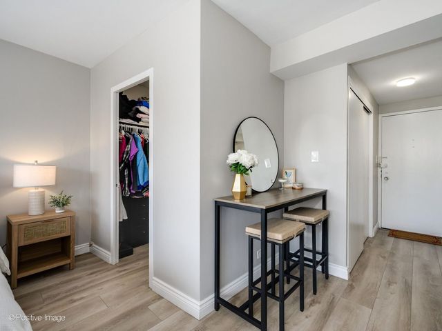 1150 N Lake Shore Drive 13L, Chicago, IL 60611
