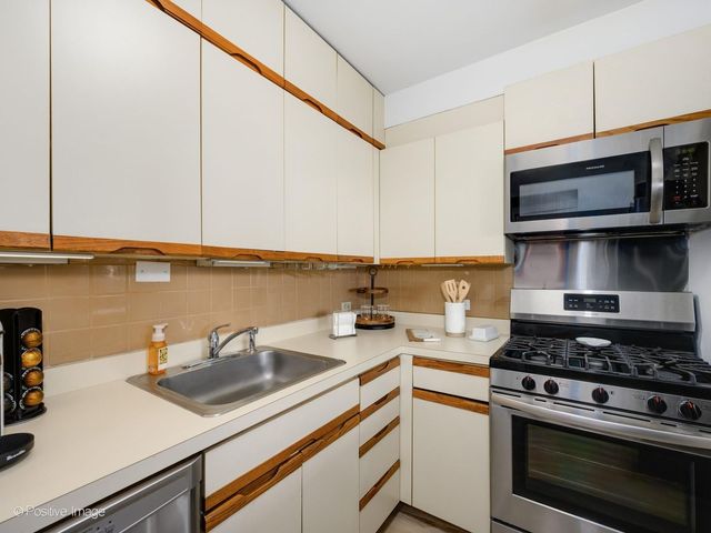 1150 N Lake Shore Drive 13L, Chicago, IL 60611