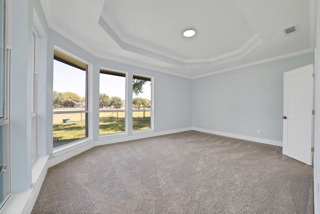10912 Promise Land Drive, Frisco, TX 75035