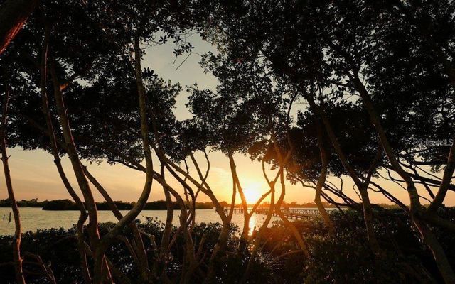 14401 MASTHEAD DRIVE, Osprey, FL 34229