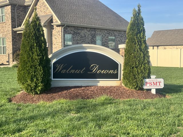 1901 Rhonda Dr, Christiana, TN 37037