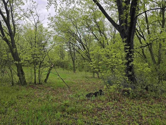 625 N SEMROW ROAD, Coloma, WI 54930