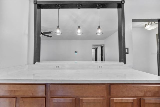 15204 MONET DRIVE, Tampa, FL 33613