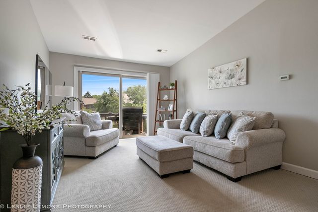 1316 McDowell Road 203, Naperville, IL 60563