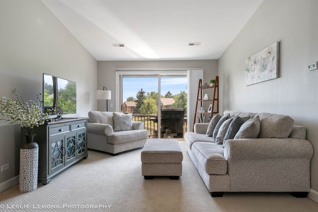 1316 McDowell Road 203, Naperville, IL 60563