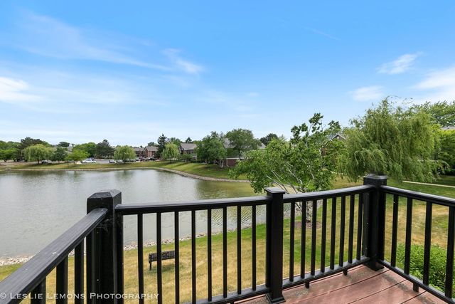 1316 McDowell Road 203, Naperville, IL 60563