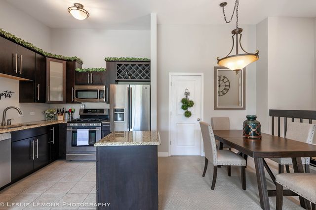 1316 McDowell Road 203, Naperville, IL 60563