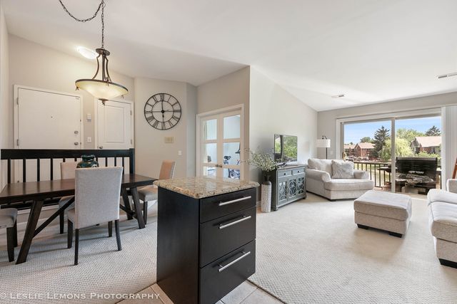 1316 McDowell Road 203, Naperville, IL 60563