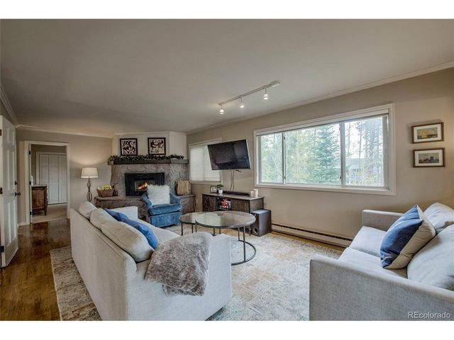 689 American Way, Breckenridge, CO 80424