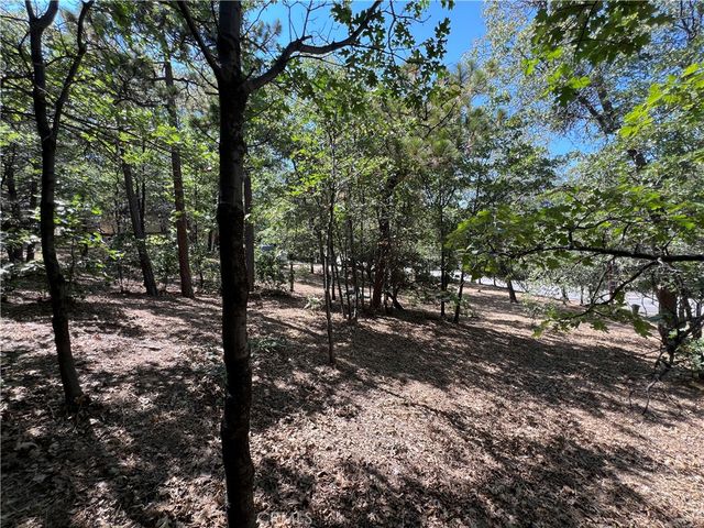 28195 N Bay Road, Lake Arrowhead, CA 92352