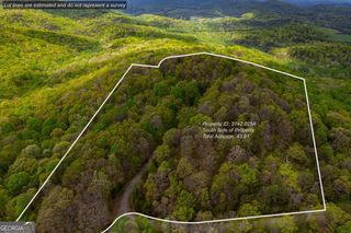 43.91 Old Burnt Mountain Road, Ellijay, GA 30540