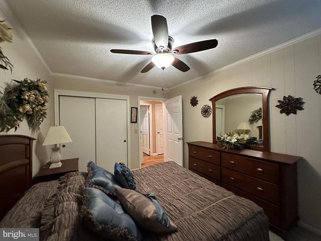 28440 BLOOMERY RD, Federalsburg, MD 21632