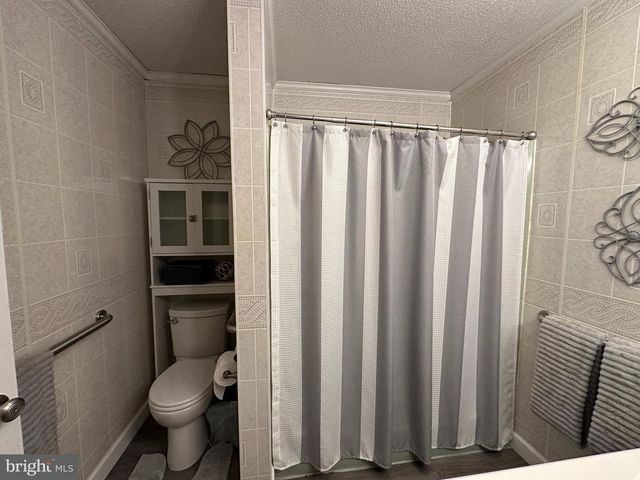28440 BLOOMERY RD, Federalsburg, MD 21632