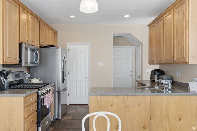 13534 S SKIPPERLING LN, Riverton, UT 84096
