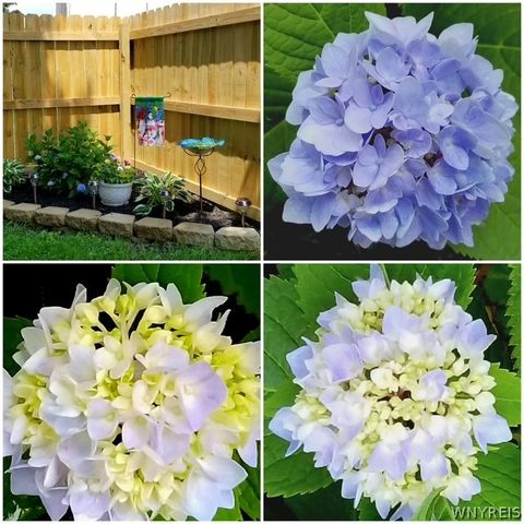 64 Oakwood Terrace, North Tonawanda, NY 14120