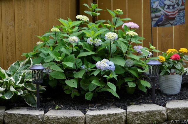 64 Oakwood Terrace, North Tonawanda, NY 14120