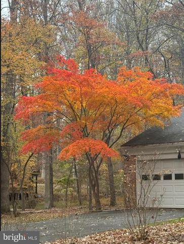 12222 BENSON BRANCH RD, Ellicott City, MD 21042