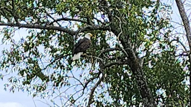 1522 Burney Cemetary, Calera, OK 74730