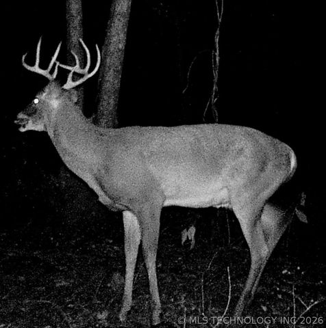 1522 Burney Cemetary, Calera, OK 74730