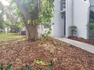 7100 WATERSIDE DRIVE, Tampa, FL 33617