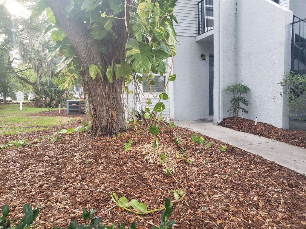 7100 WATERSIDE DRIVE, Tampa, FL 33617