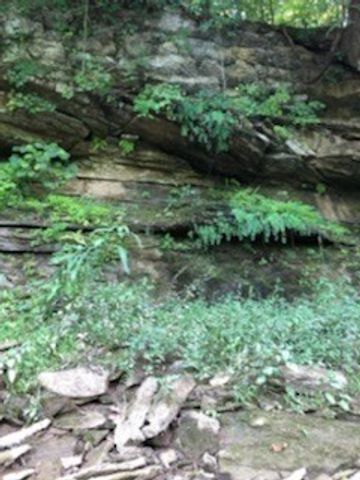 899 Messenger Rd, Sparta, TN 38583