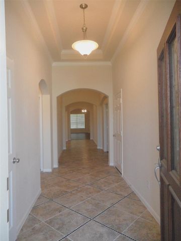 26703 Mandrake Falls Court, Katy, TX 77494