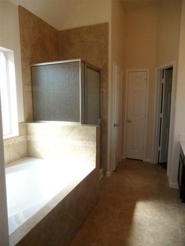 26703 Mandrake Falls Court, Katy, TX 77494