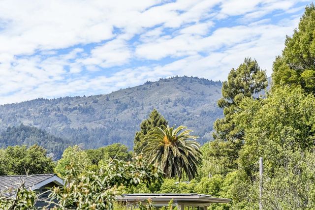 44 Catalpa Ave, Mill Valley, CA 94941