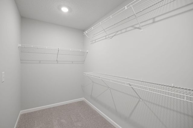 1109 Annacotte Lane, Rosemount, MN 55068