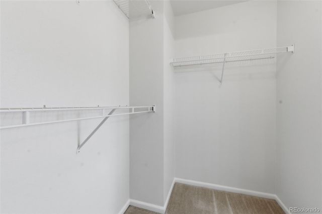 6016 Conductors Point, Colorado Springs, CO 80923