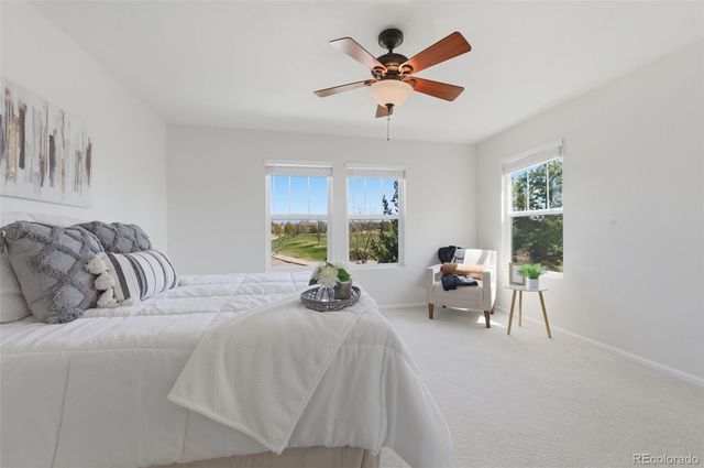 6016 Conductors Point, Colorado Springs, CO 80923