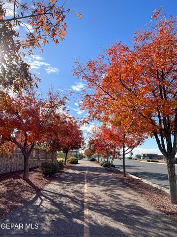 6337 FRANKLIN GATE Drive, El Paso, TX 79912