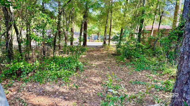 597 Buena Vista Drive, Lillian, AL 36549