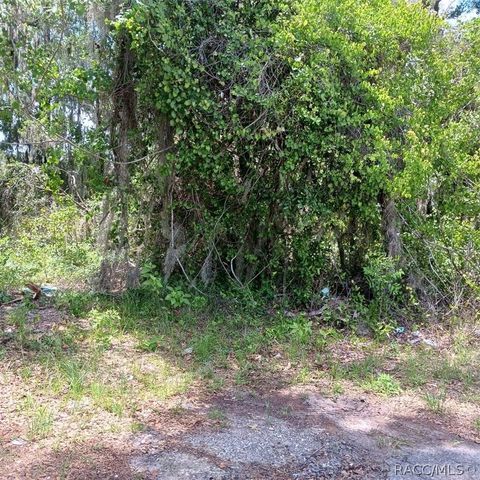 215 & 217 Country Walk, Inverness, FL 34453