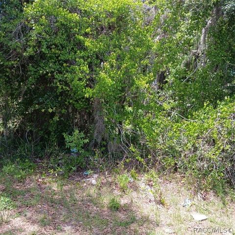215 & 217 Country Walk, Inverness, FL 34453