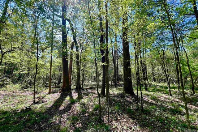 26 Lillian Ln, Ethel, LA 70730