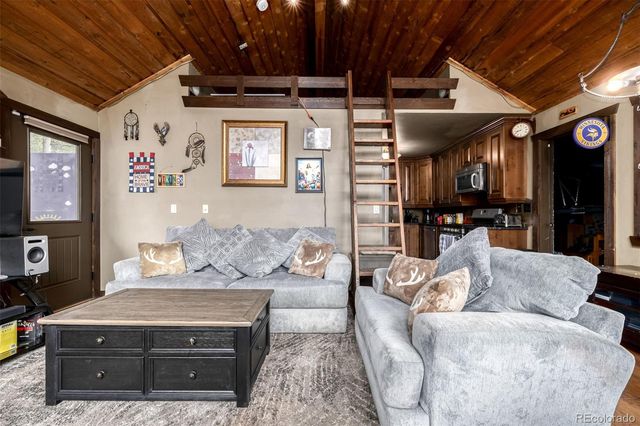 318 Upper Forest Road, Idaho Springs, CO 80452