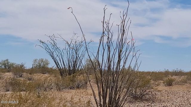 4812 N 313TH Avenue -, Buckeye, AZ 85396