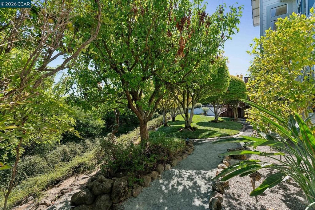 Image 46 of property listing at 905 Dana Highlands Ct, Lafayette, CA 94549