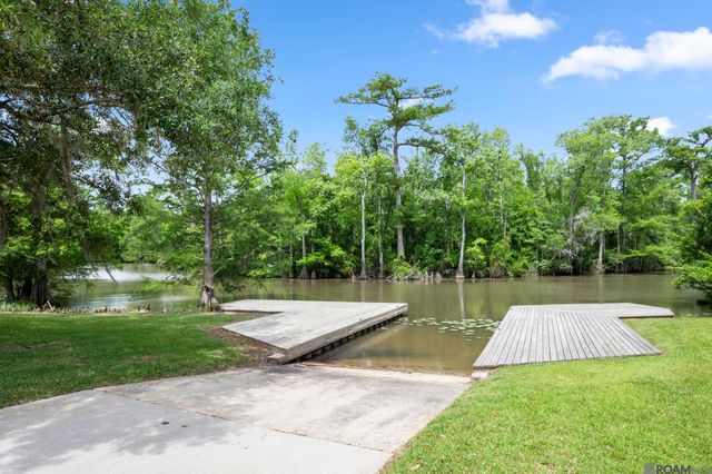 20605 Bretz Rd, Springfield, LA 70462