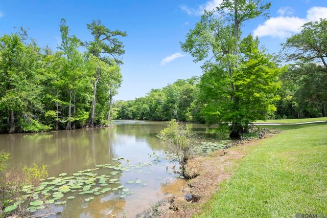 20605 Bretz Rd, Springfield, LA 70462