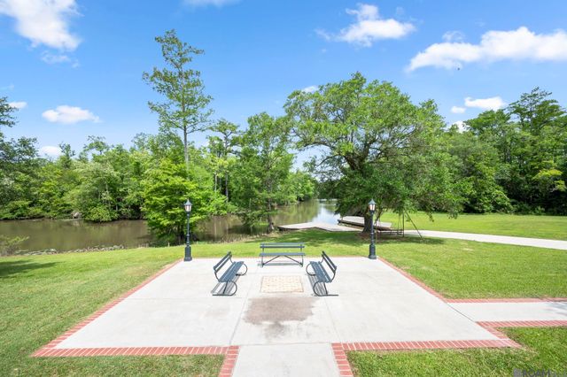 20605 Bretz Rd, Springfield, LA 70462