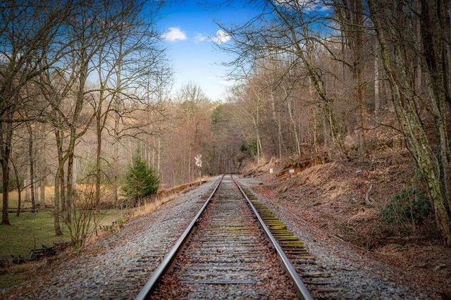 76 Fish Trap Road, Blue Ridge, GA 30513