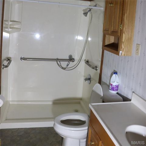 4219 Old State Road, De Soto, MO 63020