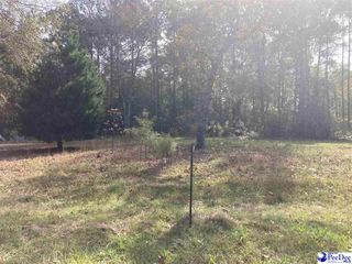 1939 Rolling Acres Drive, Dillon, SC 29536