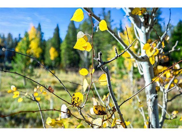 311 Shawnee Rd, Red Feather Lakes, CO 80545