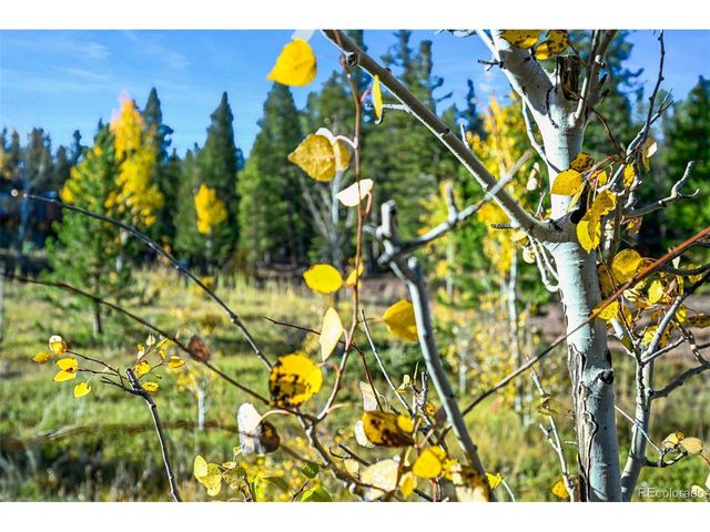 311 Shawnee Rd, Red Feather Lakes, CO 80545