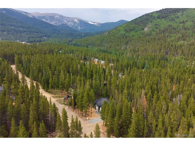146 Elk Rd, Idaho Springs, CO 80452